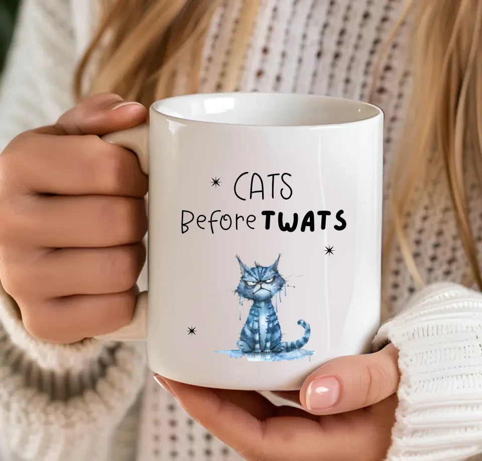 Funny cat lover mug